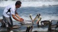 /album/galeria-de-fotos-fase-i-brasil-usa/a5-praias-equador-jpg/